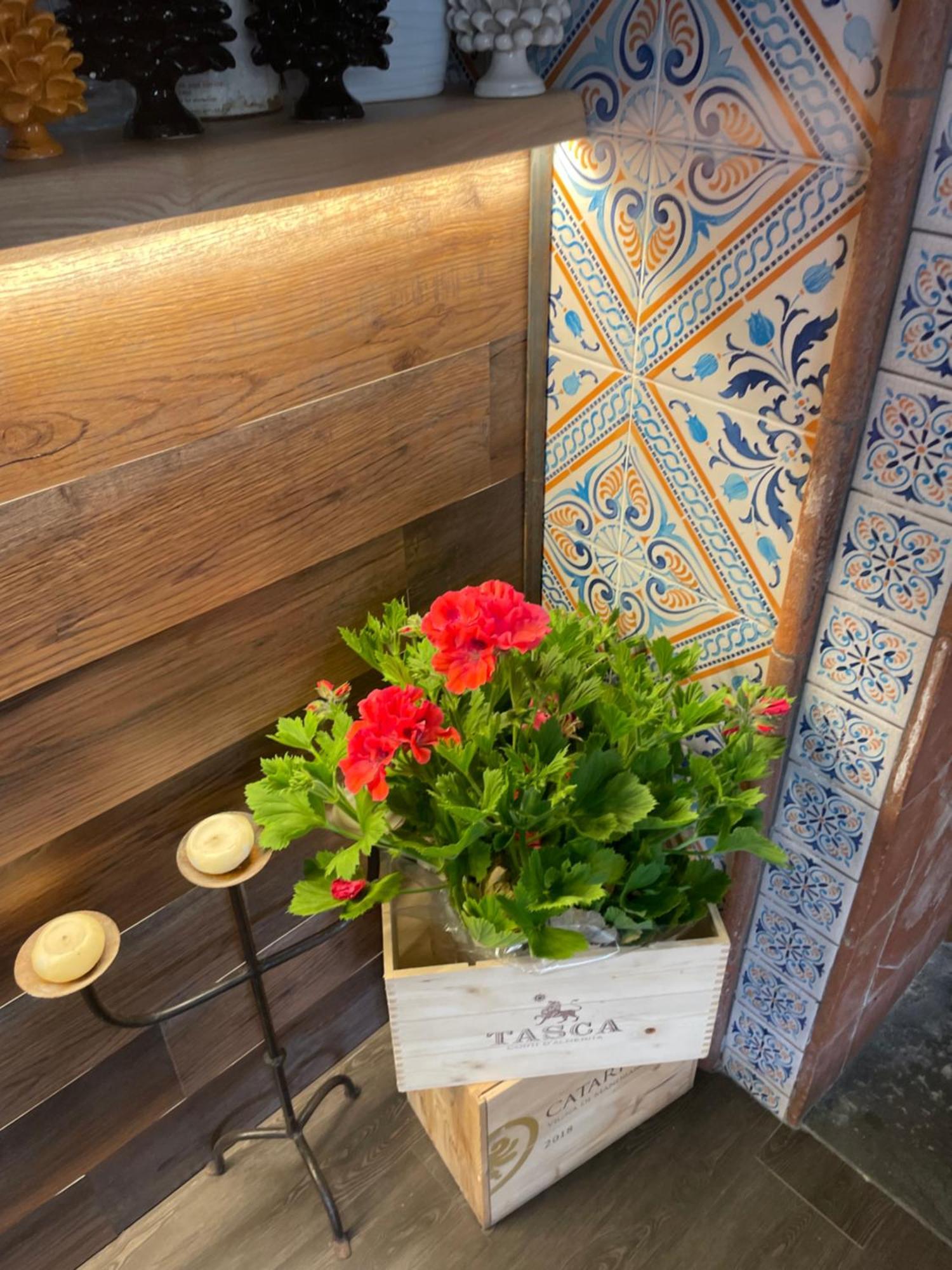 Ai Dammusi B&B San Vito Lo Capo Exterior foto